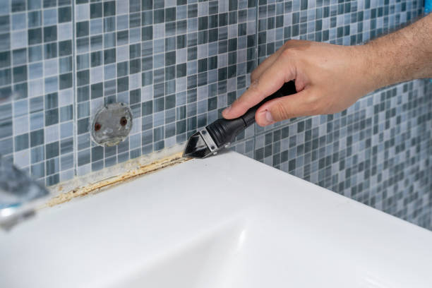 Best Mold Removal Near Me  in Seeley Lake, MT